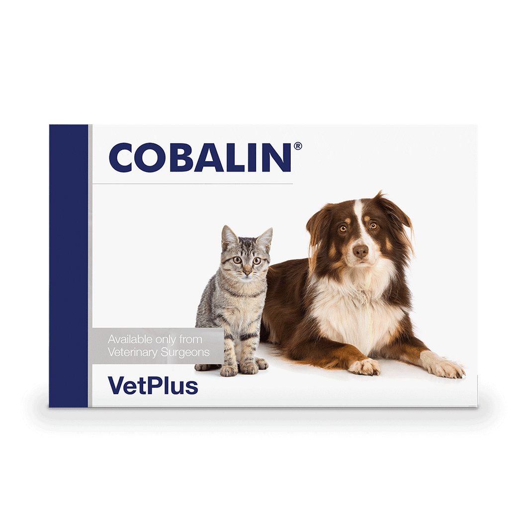 COBALIN® B12 ir B9 (folio r.) papildas šunims ir katėms