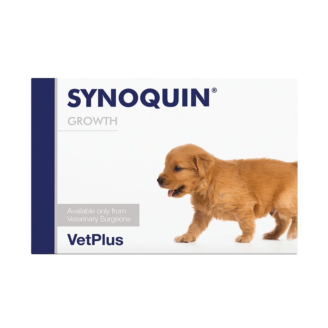 SYNOQUIN® Growth papildas augantiems šunims