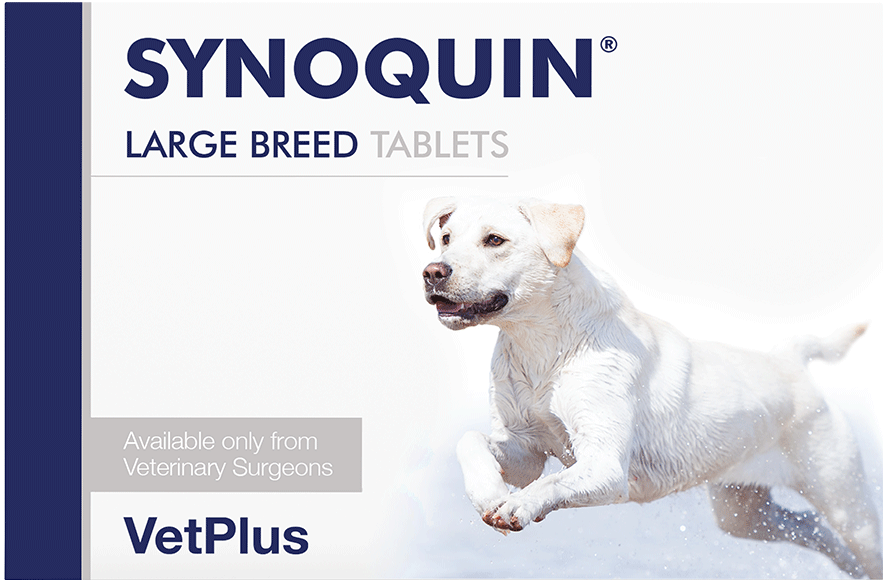 SYNOQUIN® Large breed papildai šunų sąnariams