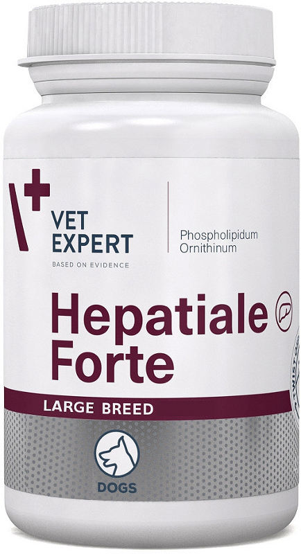 HEPATIALE FORTE LARGE BREAD 40 tab. papildas