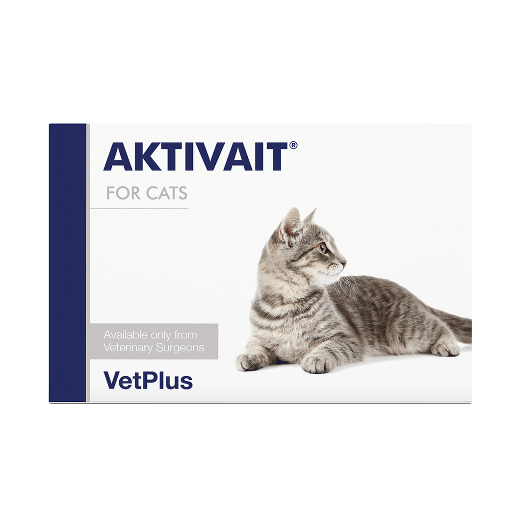 AKTIVAIT® for Cats papildas kačių smegenų veiklai (kognityvinei disfunkcijai)