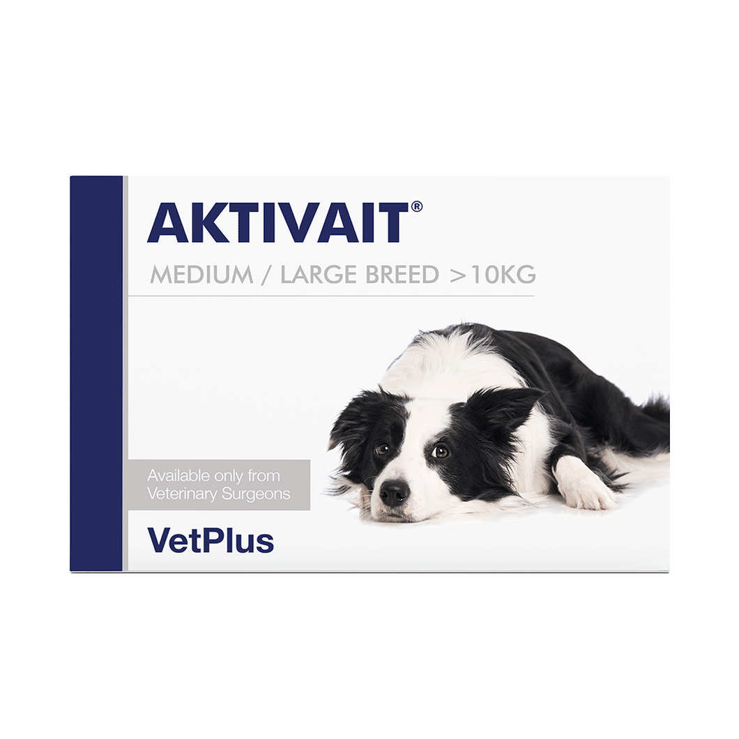AKTIVAIT® Medium/Large Breed papildas šunų smegenų veiklai (kognityvinei disfunkcijai)