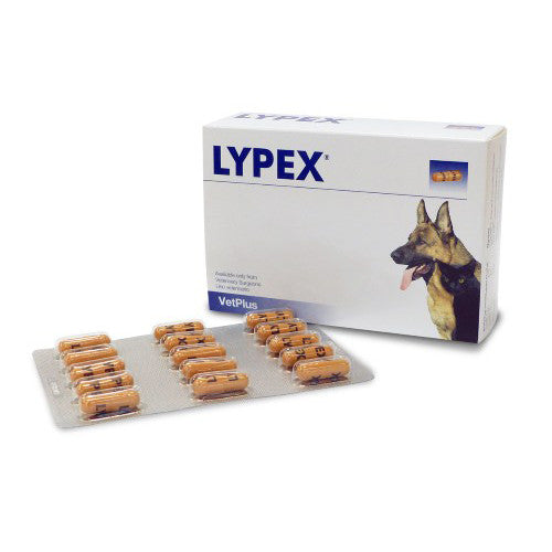 LYPEX® 60 tab. kasos fermentų papildas