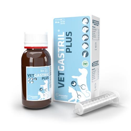 VET GASTRIL GEL 50ml papildas skrandžio veiklai (ICF)