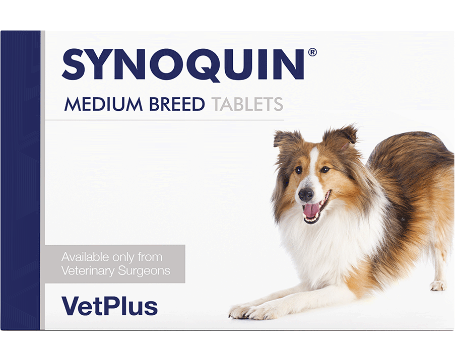 SYNOQUIN® Medium breed papildas šunų sąnariams