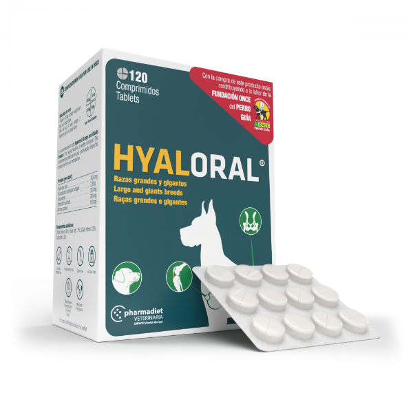 hyaloral papildai sanariams