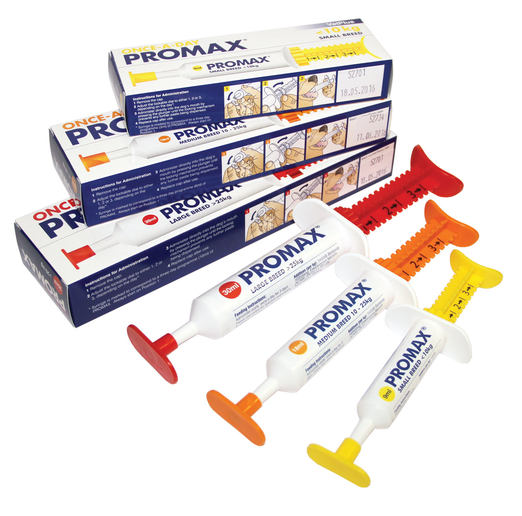 PROMAX® papildas esant virškinimo trakto sutrikimams